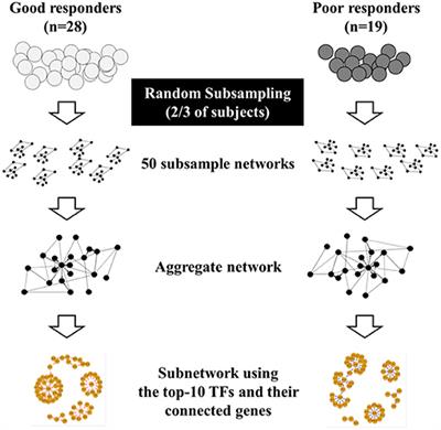 Different Biological Pathways Between Good and Poor Inhaled Corticosteroid Responses in Asthma